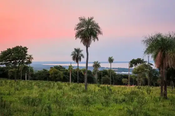 Lotes con vista al lago en Parque Alto 6