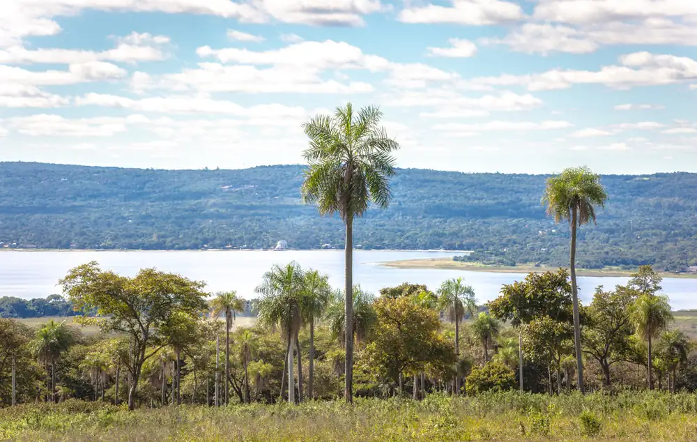 Lotes con vista al lago en Parque Alto 1