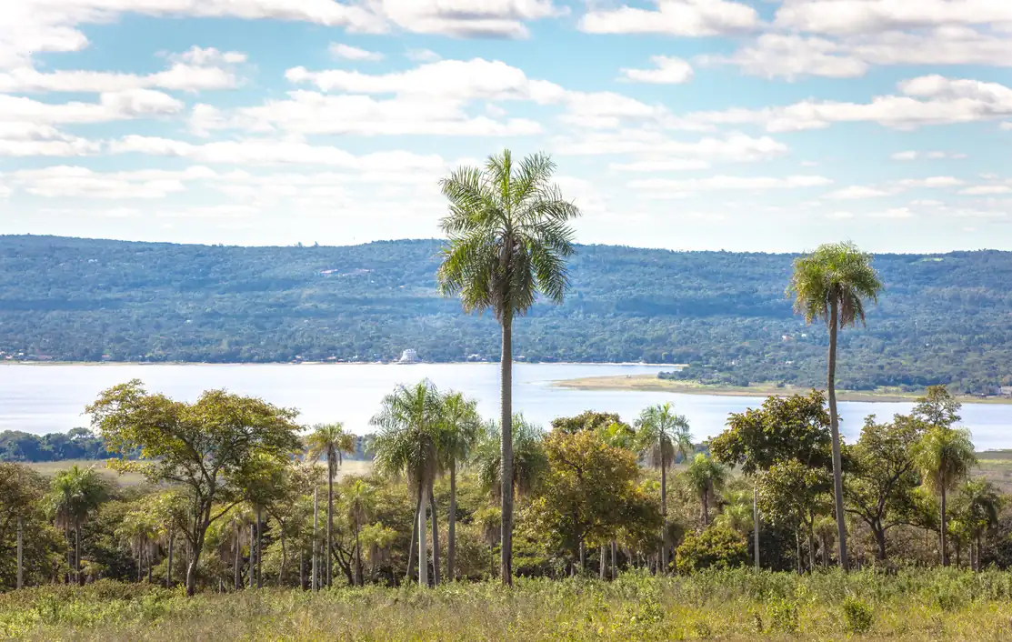 Lotes con vista al lago en Parque Alto