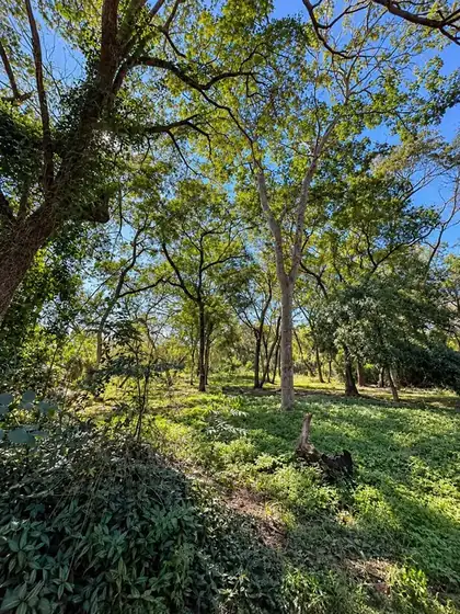 Tres lotes arbolados en Ypacaraí 4
