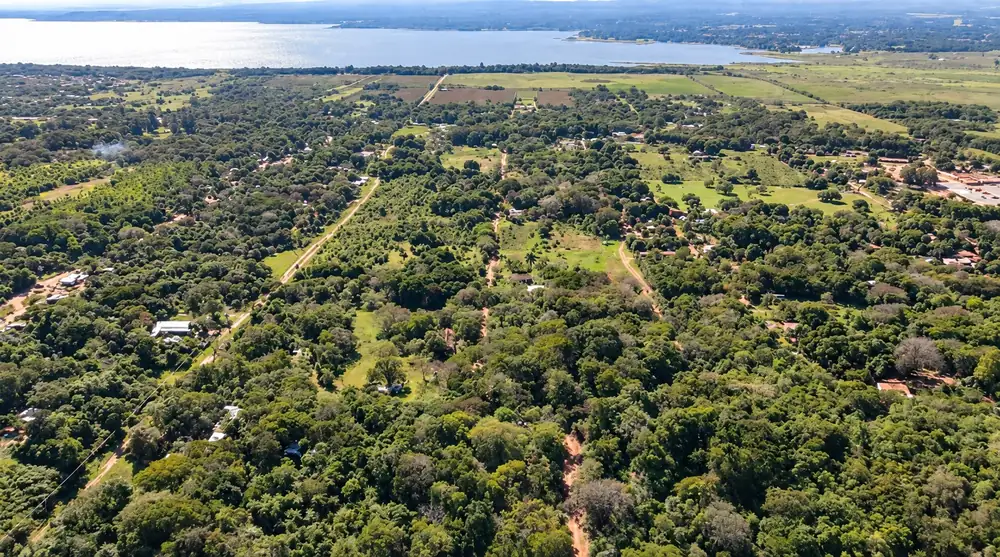 Tres lotes arbolados en Ypacaraí 1